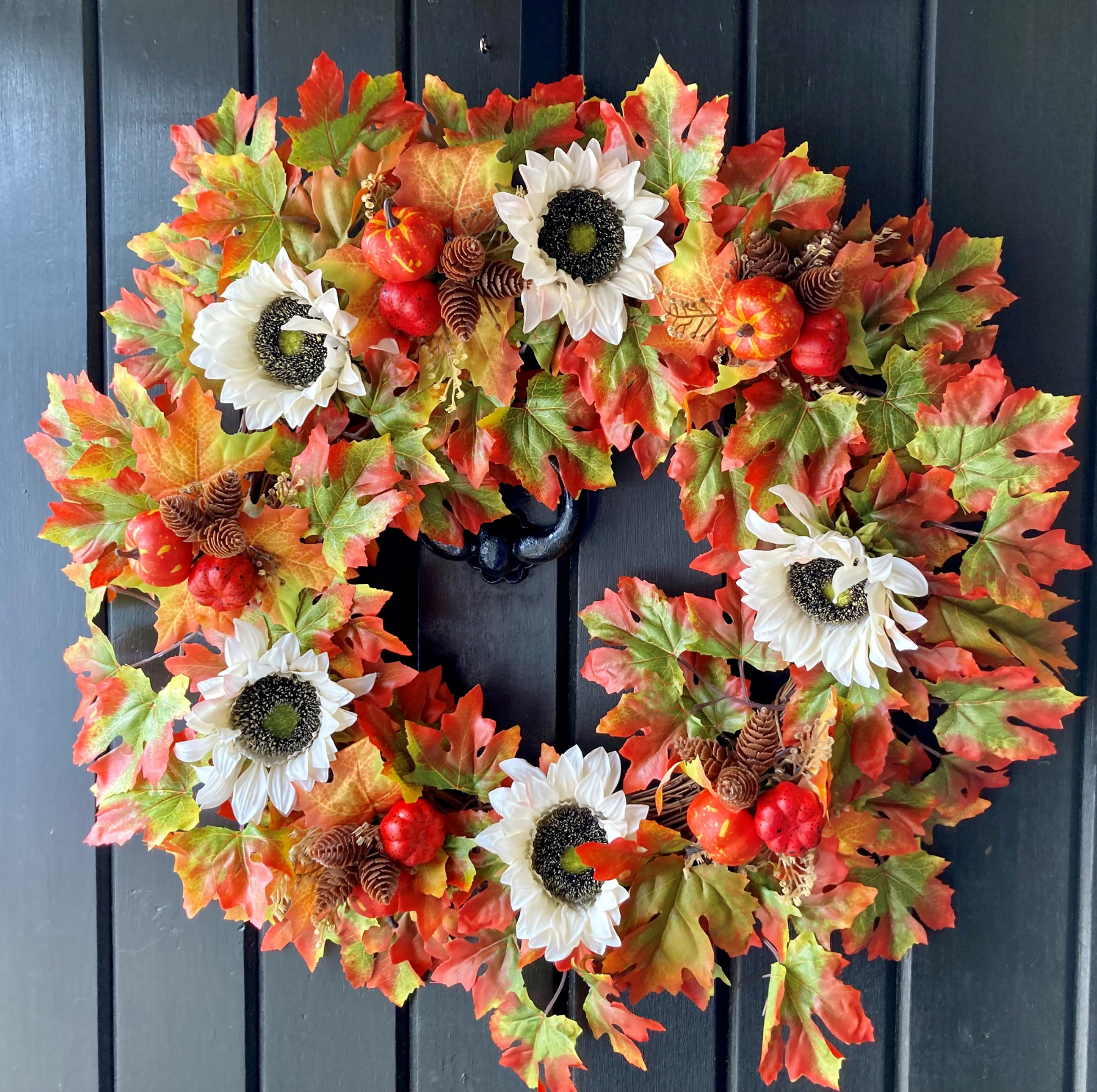 Cream Sunflowers with Pine Cones & Pumpkins set on Autumnal Coloured Crisp Red and Green Maple Leaves on a Grapevine Welcome Door Wreath