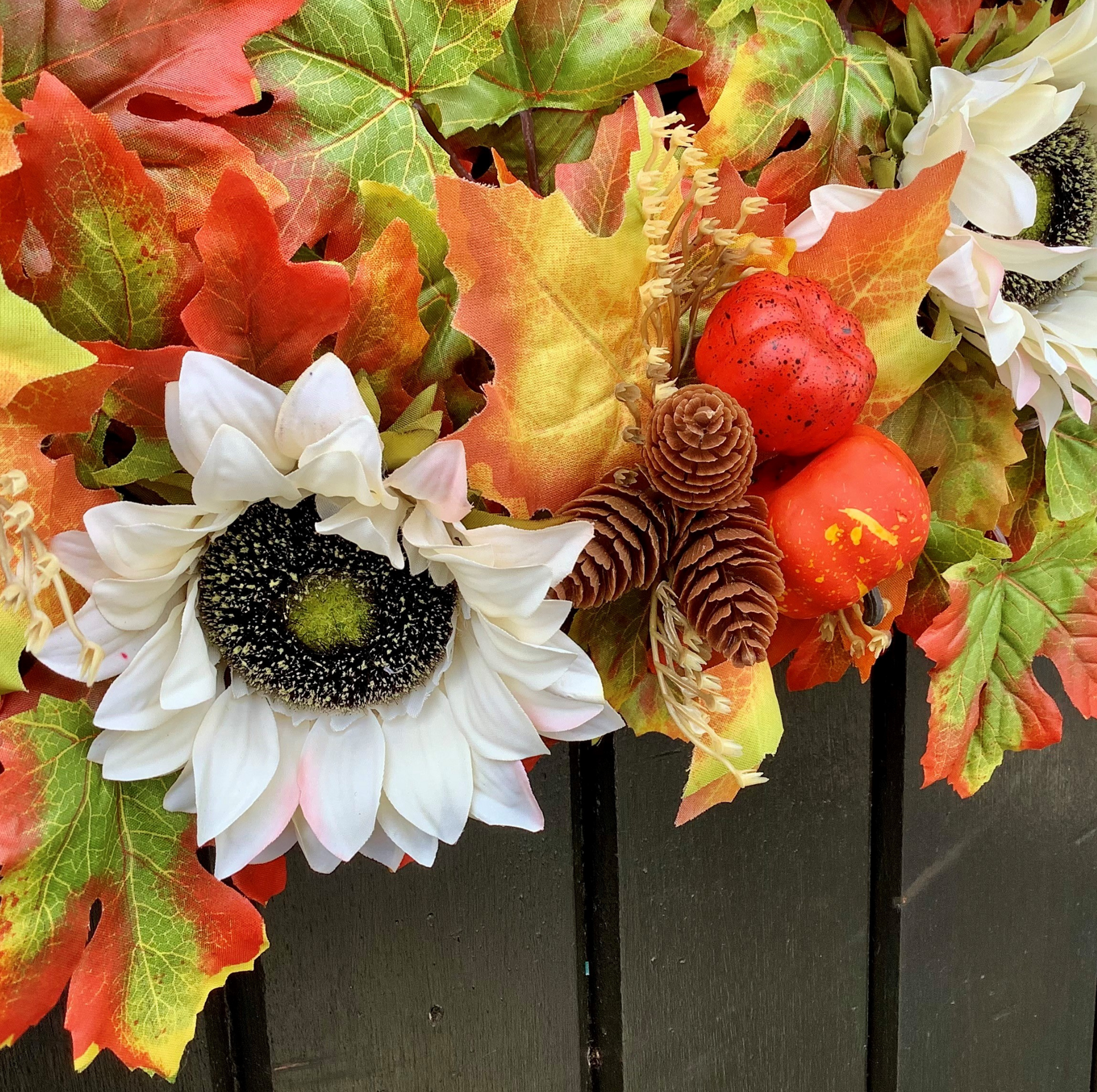 Cream Sunflowers with Pine Cones & Pumpkins set on Autumnal Coloured Crisp Red and Green Maple Leaves on a Grapevine Welcome Door Wreath