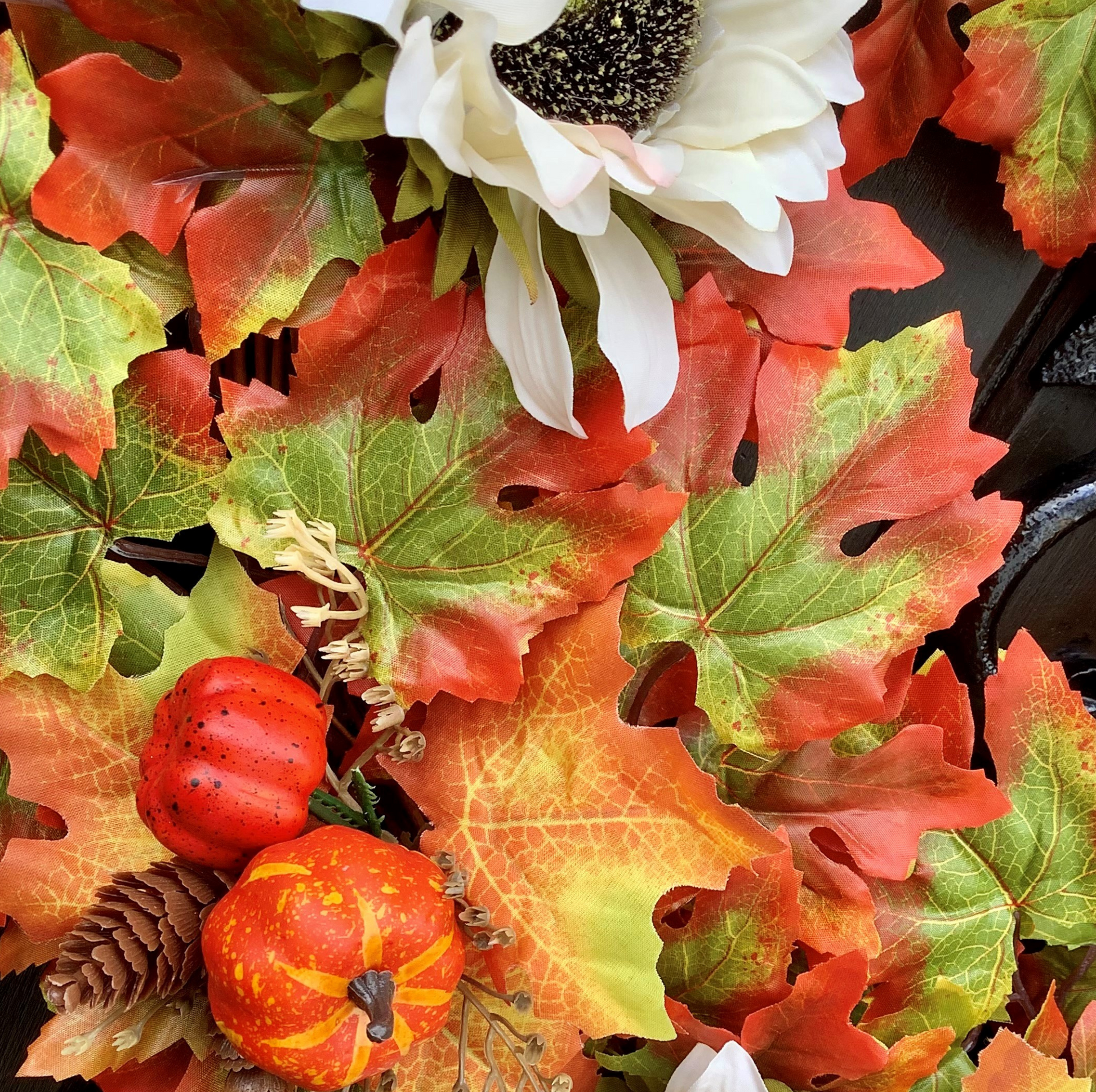 Cream Sunflowers with Pine Cones & Pumpkins set on Autumnal Coloured Crisp Red and Green Maple Leaves on a Grapevine Welcome Door Wreath