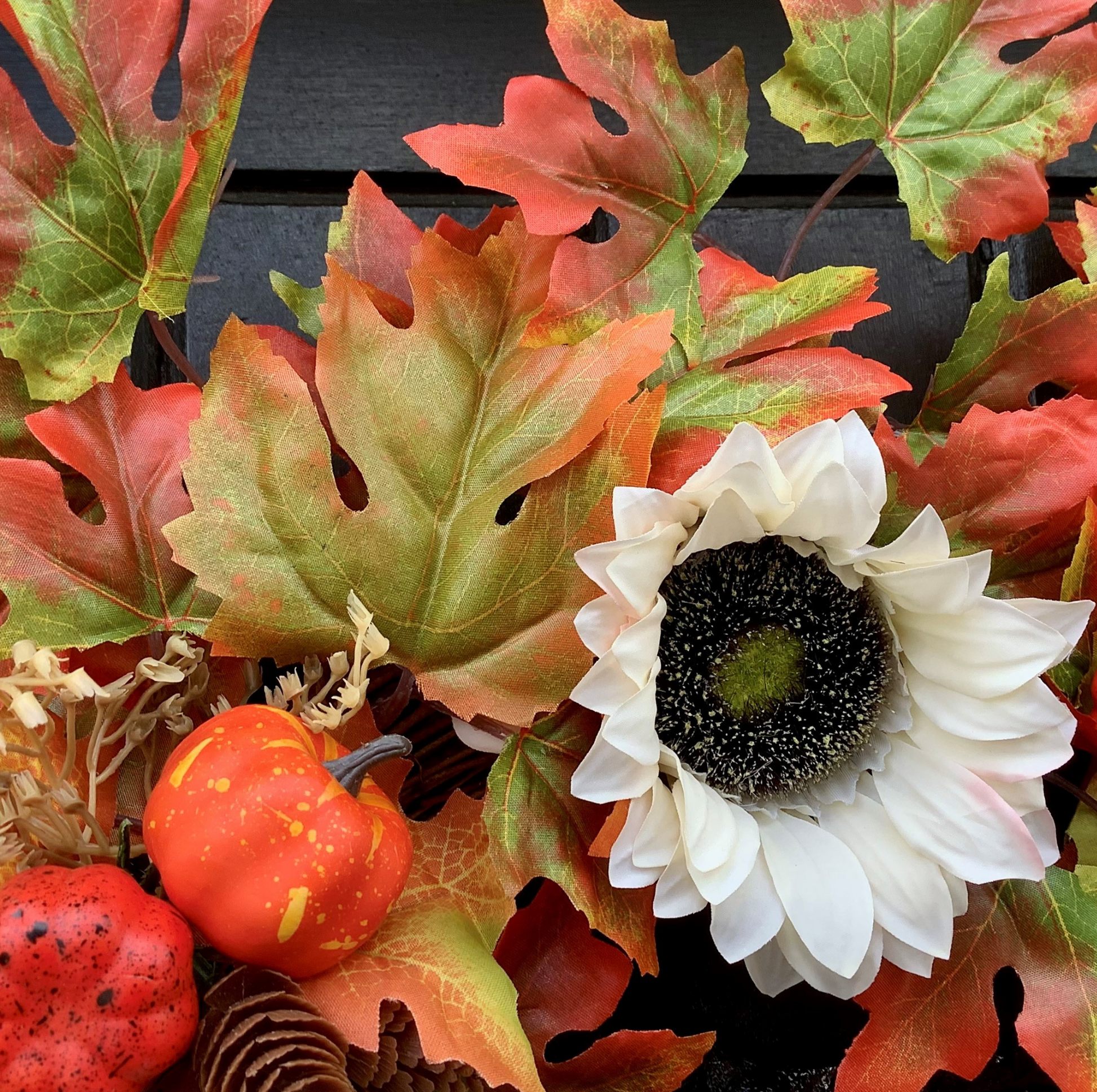 Cream Sunflowers with Pine Cones & Pumpkins set on Autumnal Coloured Crisp Red and Green Maple Leaves on a Grapevine Welcome Door Wreath